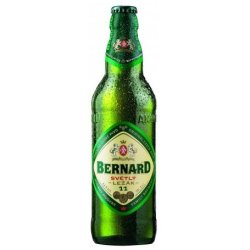 Bernard Světlý Ležák 11