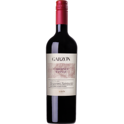 Bodega Garzon Estate Cabarnet Franc/Tannat