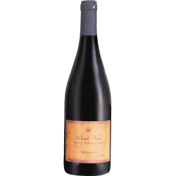 Badacsonyi Pinot Noir 0,75 l