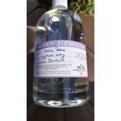 Młody Ziemniak 2022