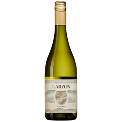 Bodega Garzon Reserve Albariño